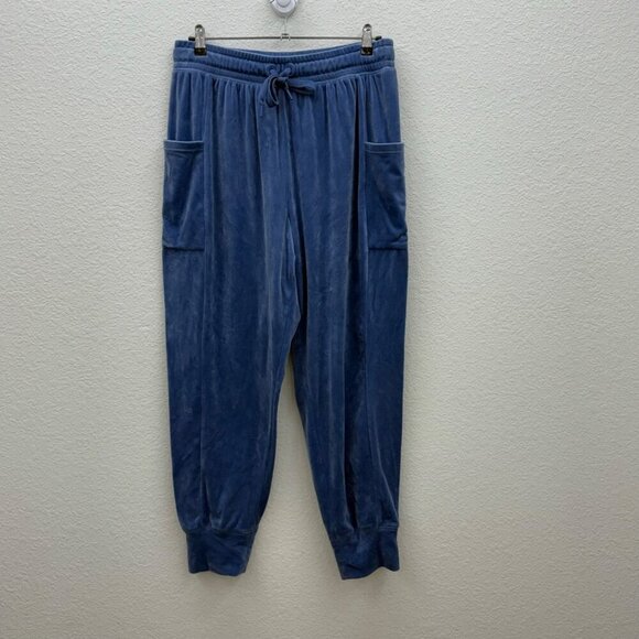 Offline by Aerie After Party Blue Velour Jogger Pant w Pockets Womens size Large - Picture 1 of 5